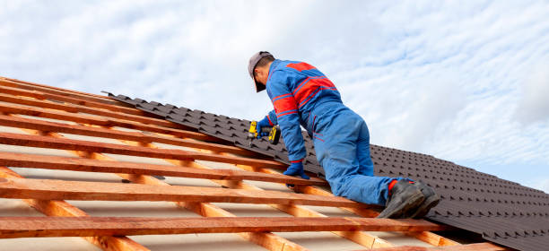 Best Roof Coating and Sealing  in Colfax, IA